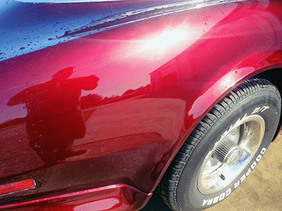 Corvette Paint Up Close